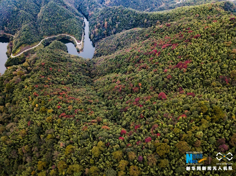 航拍江西宜豐官山自然保護區五彩斑斕勝似春景