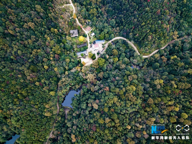 航拍江西宜豐官山自然保護區五彩斑斕勝似春景