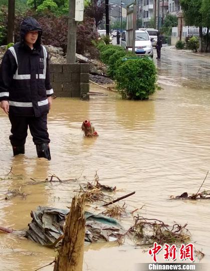 圖片默認標題