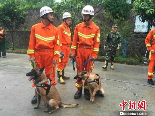 福建泰寧泥石流災害：兩條搜救犬進入核心區展開搜救