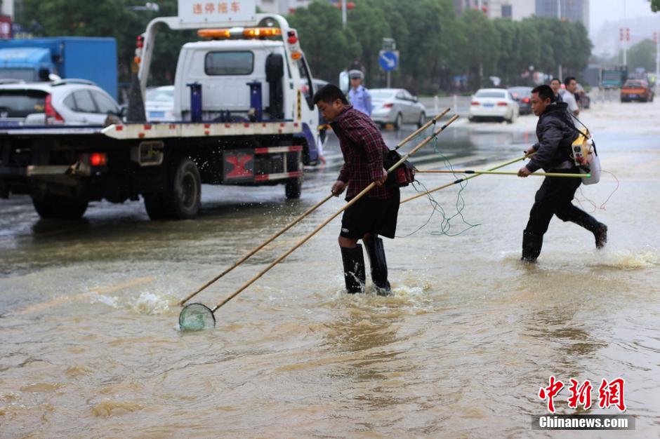 湖南道縣大暴雨致內澇嚴重 民眾街道捕魚