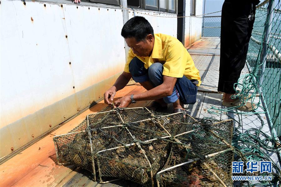 廣西北海：“海絲”憑藉力 南珠再起航