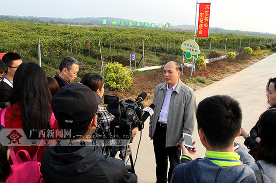 〔金融投資－圖文、八桂大地貴港〕平南：夯實産業基礎 築牢縣域經濟發展的基石(圖)