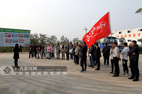 〔金融投資－圖文、八桂大地貴港〕平南：夯實産業基礎 築牢縣域經濟發展的基石(圖)