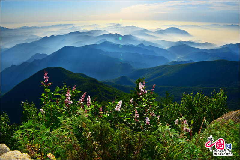 置身霧靈山：恍若衝進森林 融入自然