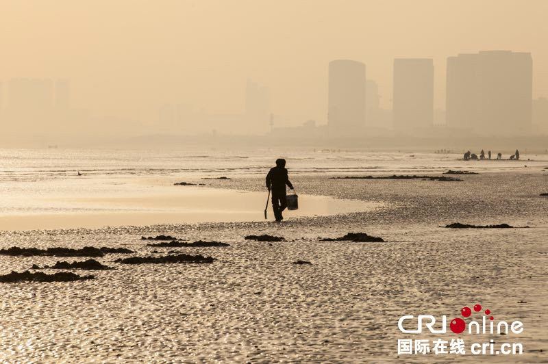 山東煙臺：趕海“淘寶”繪就冬日海灘別樣風景