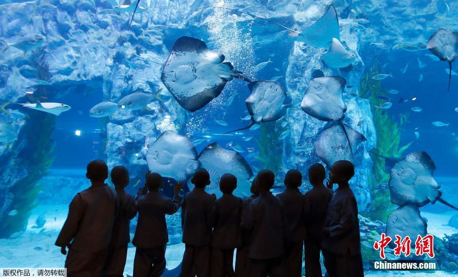 韓國慶祝佛誕節 小沙彌前往水族館遊玩