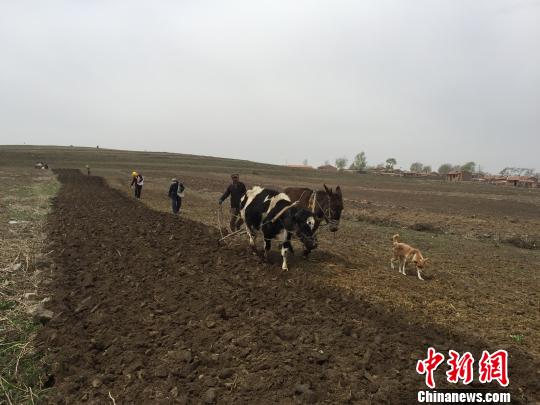 走進張北“草原天路” 感受它的“美”與“痛”(圖)