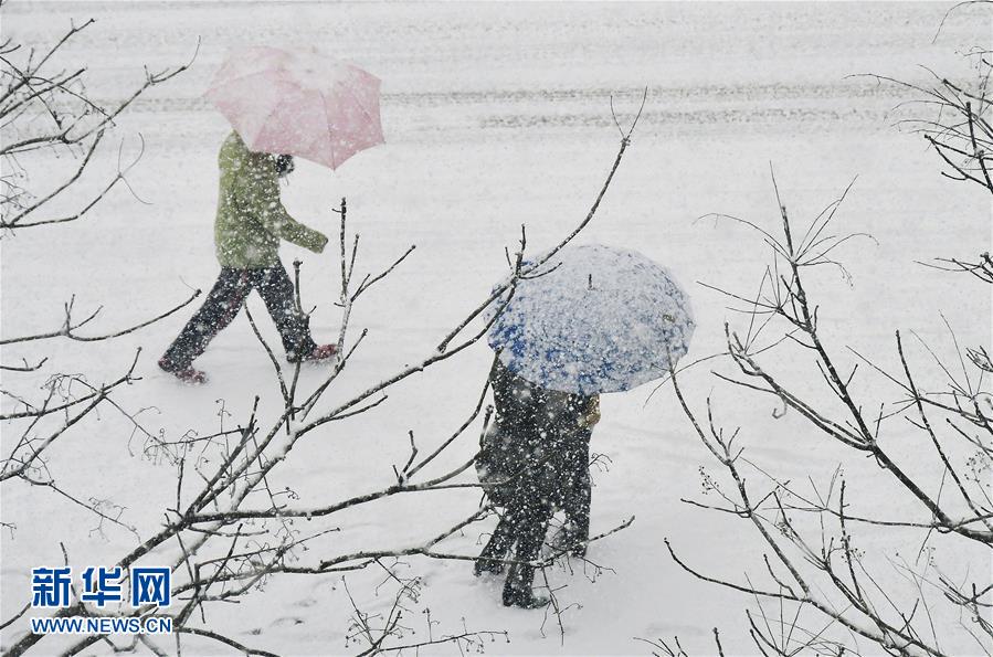 山東煙臺普降大雪