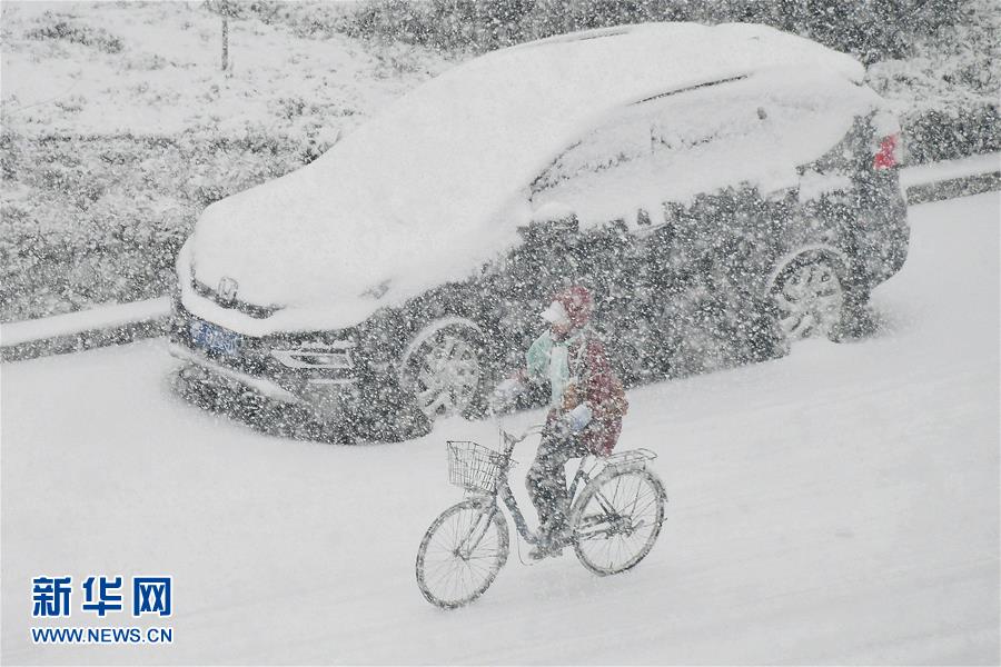 山東煙臺普降大雪