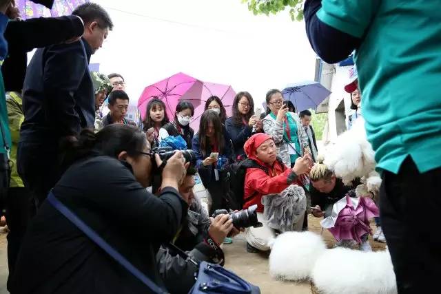 把新聞寫在大地上——“治國理政河北新實踐”網絡媒體“走轉改”活動綜述