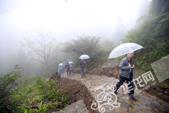 總編看彭水走進“天然氧吧” 感受天然地質奇觀