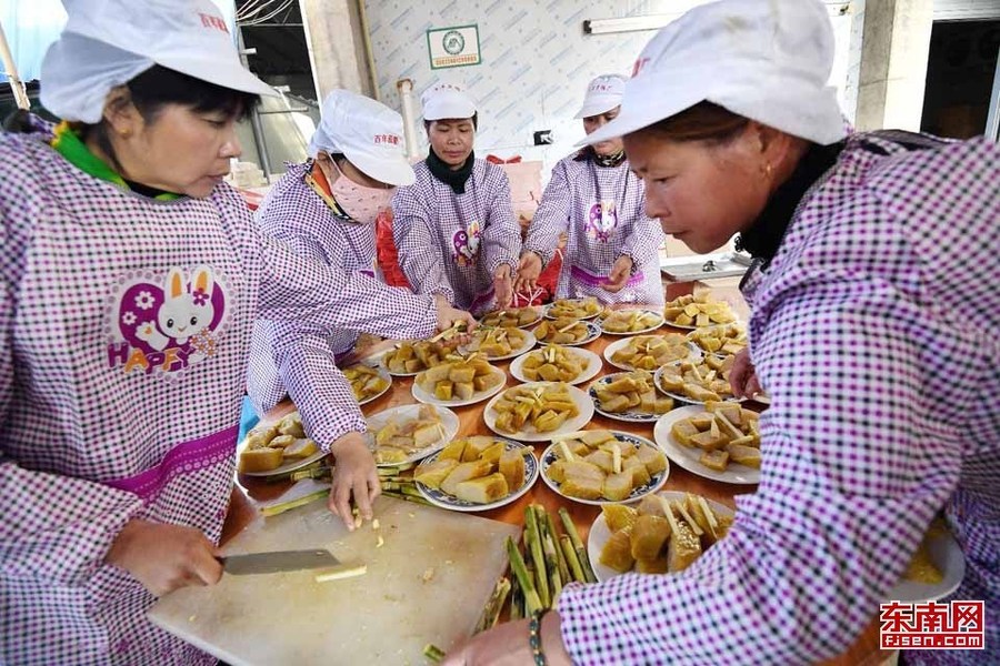 【高清圖4】【滾動新聞】松溪“百年蔗”旅遊節樂翻天 趣味體驗古法做紅糖