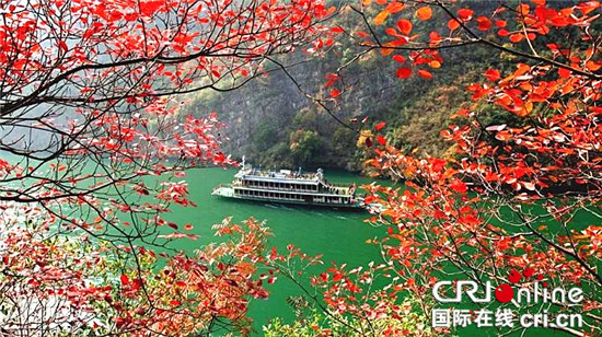 已過審【環保視點 綠色康養 圖文摘要】層林盡染醉紅葉 巫山紅葉盛宴正當時