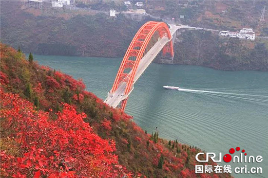 已過審【環保視點 綠色康養 圖文摘要】層林盡染醉紅葉 巫山紅葉盛宴正當時