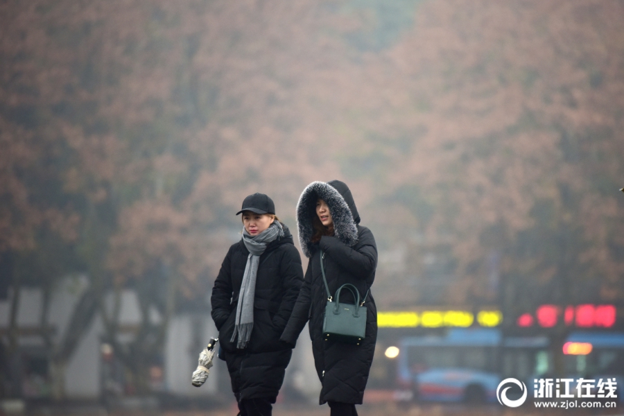 雨霧西湖 遊興不減