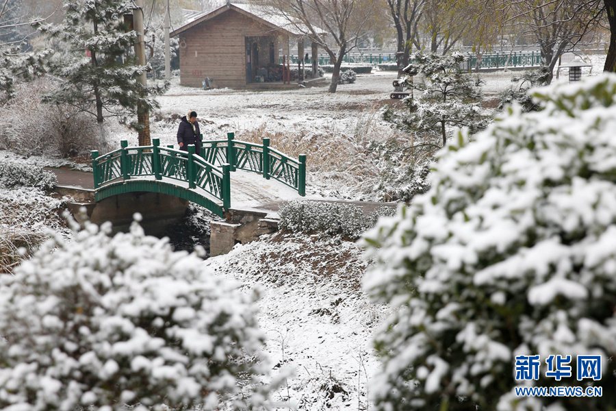 【輪播圖】中原降瑞雪