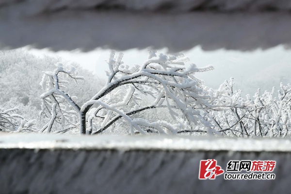 美翻了！張家界天門山霧凇宛若瓊玉