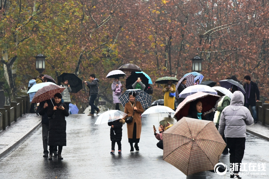 杭城冬雨綿長