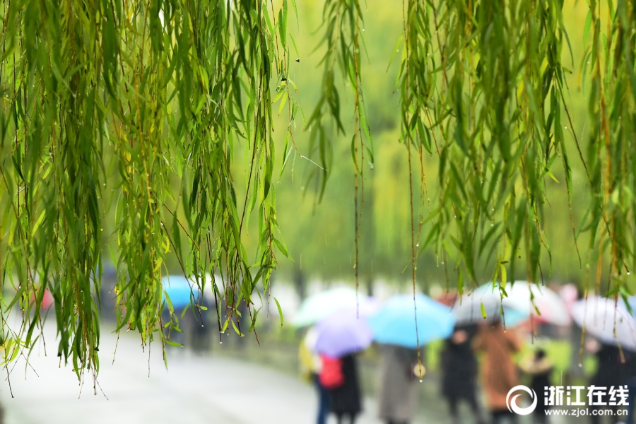 杭城冬雨綿長