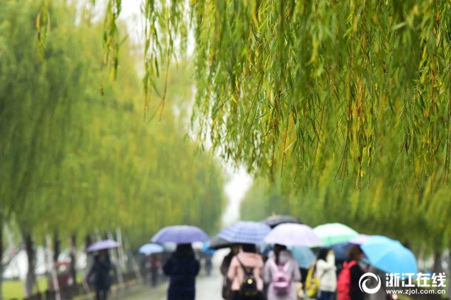 杭城冬雨綿長