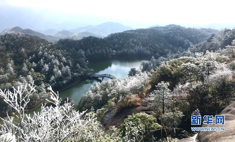 銀裝素裹如仙境！德化九仙山現霧凇美景