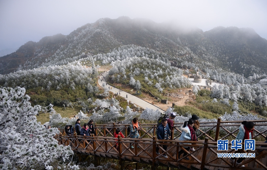 銀裝素裹如仙境！德化九仙山現霧凇美景