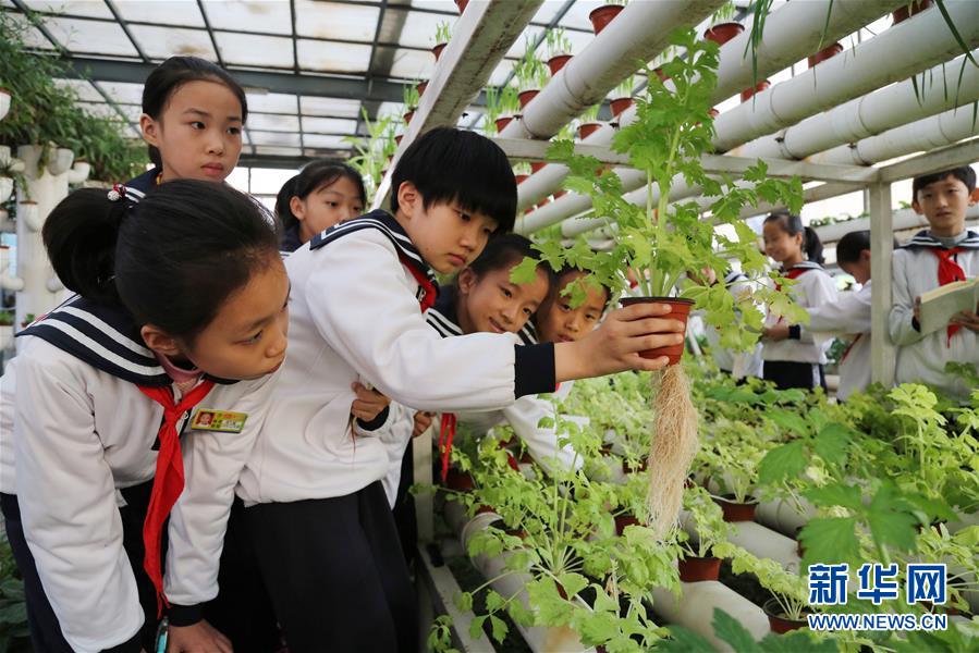 山東濱州：植物生態館裏學知識