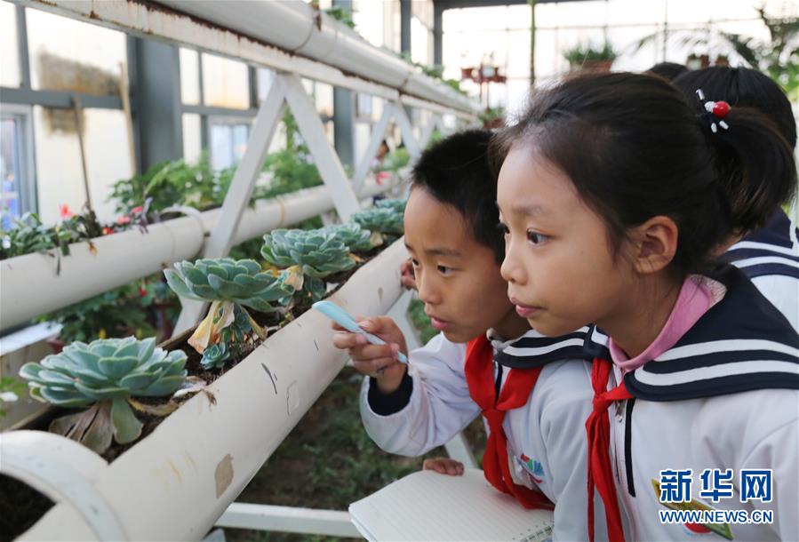 山東濱州：植物生態館裏學知識