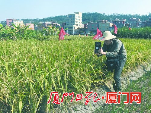 【福建時間 列表】【地市 廈門】【滾動新聞】廈門市深入落實“土十條” 嚴打土壤污染“突破戰”