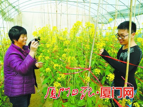 【滾動新聞】【地市 廈門】廈門推動種業登記工作 29種農作物有了“身份證”