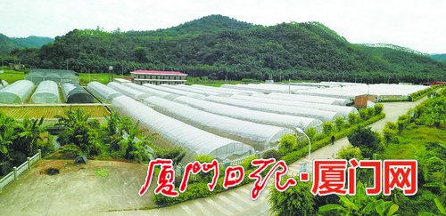 【滾動新聞】【地市 廈門】廈門推動種業登記工作 29種農作物有了“身份證”