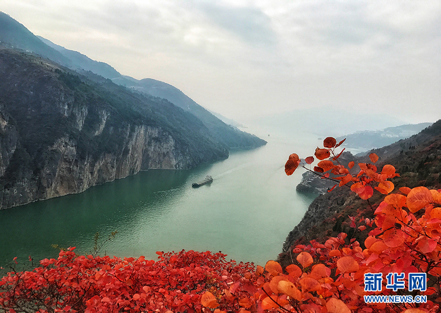 瞿塘峽兩岸層林盡染 紅葉青山水急流