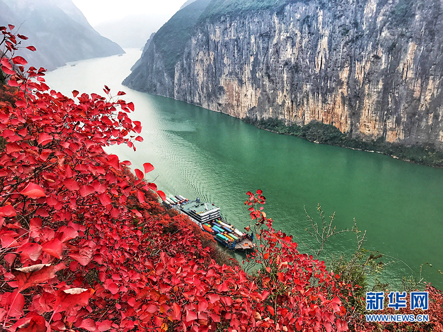 瞿塘峽兩岸層林盡染 紅葉青山水急流