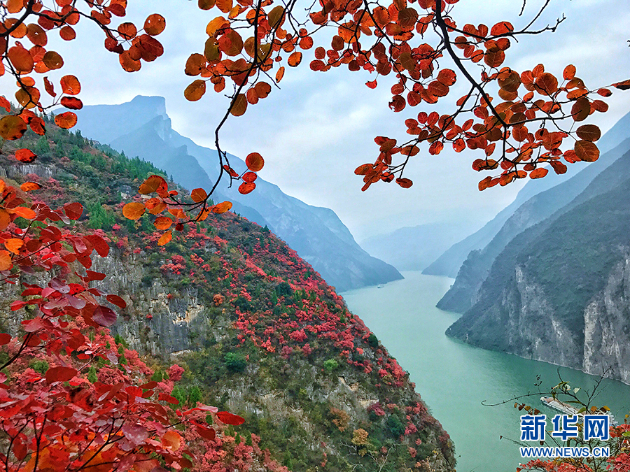 瞿塘峽兩岸層林盡染 紅葉青山水急流