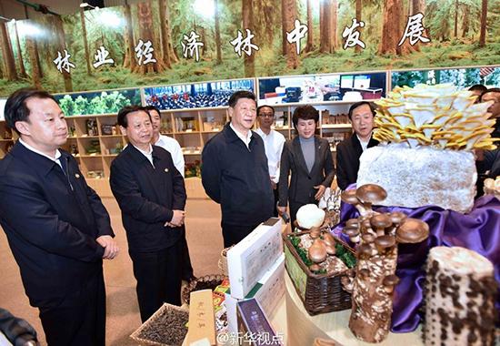 習總書記三進黑土地 為經濟結構轉型把脈開方