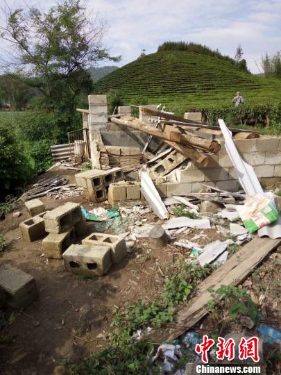 西雙版納“象出沒” 2頭野象深夜闖入街道遊蕩