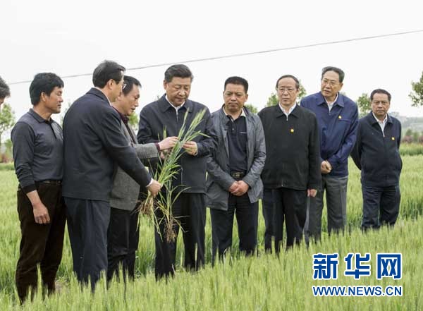 習近平指明瞭，農村改革應該這樣推進