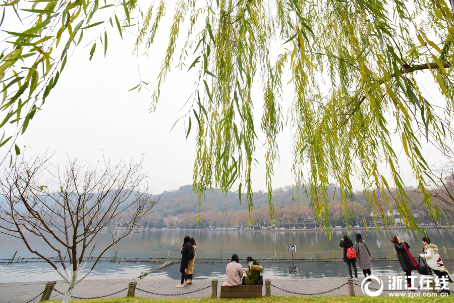 杭州：太陽缺席 西湖柳黃