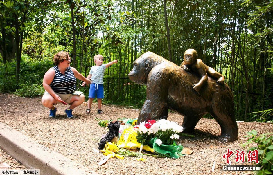 美國動物園為救男童射殺大猩猩 民眾鮮花悼念