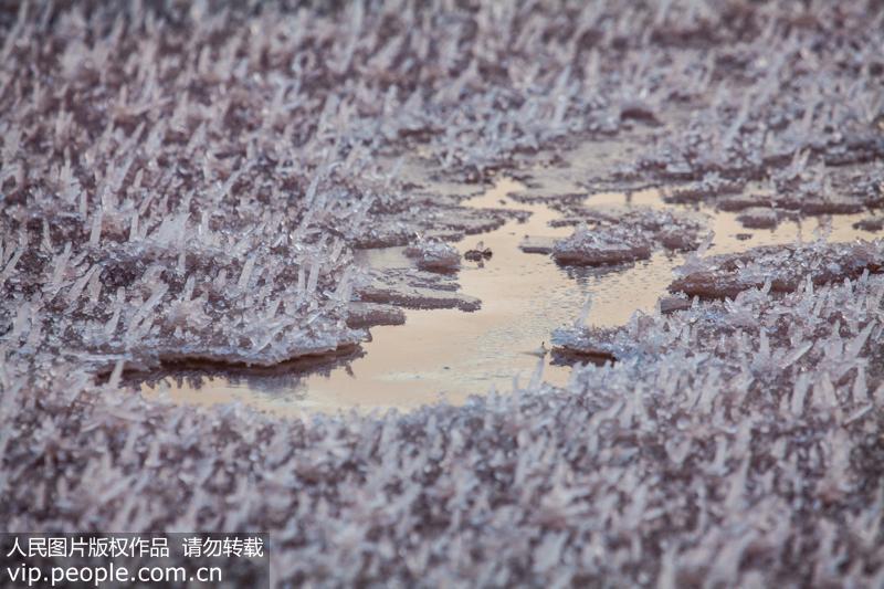 山西運城隨著氣溫下降 鹽湖綻放美麗“硝花”