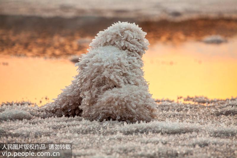 山西運城隨著氣溫下降 鹽湖綻放美麗“硝花”