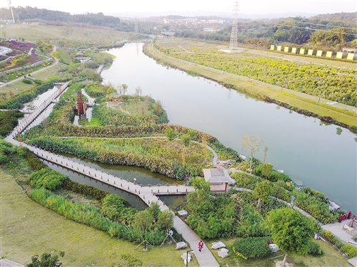 【焦點圖】（首頁標題）南寧那考河：自然濕地環境回歸（內容頁標題）南寧那考河實現奇跡般逆襲 自然濕地環境回歸