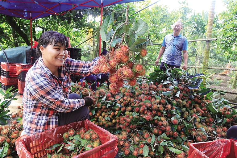 【焦點圖】【市縣】【即時快訊】保亭：而立之年 風華正茂