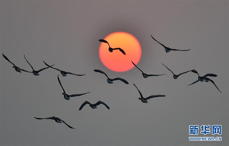 江西南昌：夕陽渡飛鳥