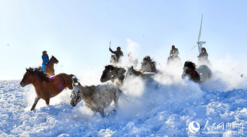 內蒙古錫林郭勒：馴烈馬 迎遊客