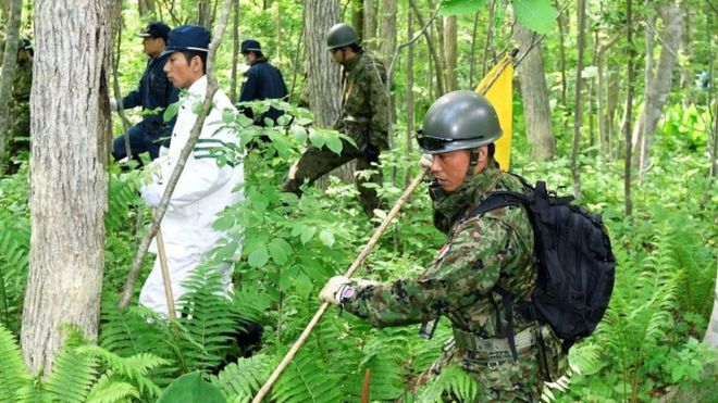 圖片默認標題