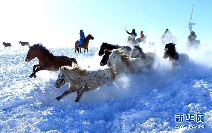 策馬揚鞭踏雪飛