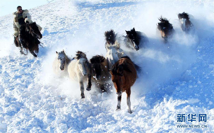 策馬揚鞭踏雪飛