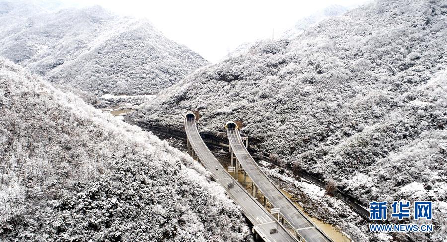 玉樹瓊枝秦嶺紫柏山